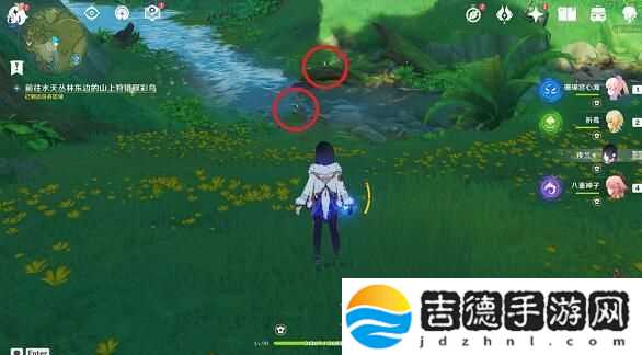 原神与珍稀之鸟的短暂邂逅任务完成攻略