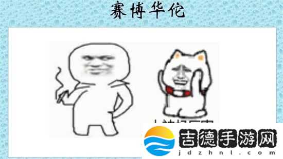 赛博华佗是什么意思