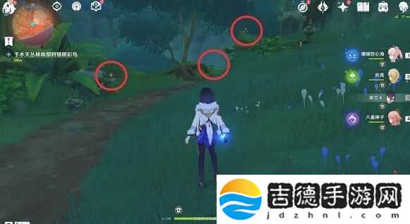 原神与珍稀之鸟的短暂邂逅任务完成攻略