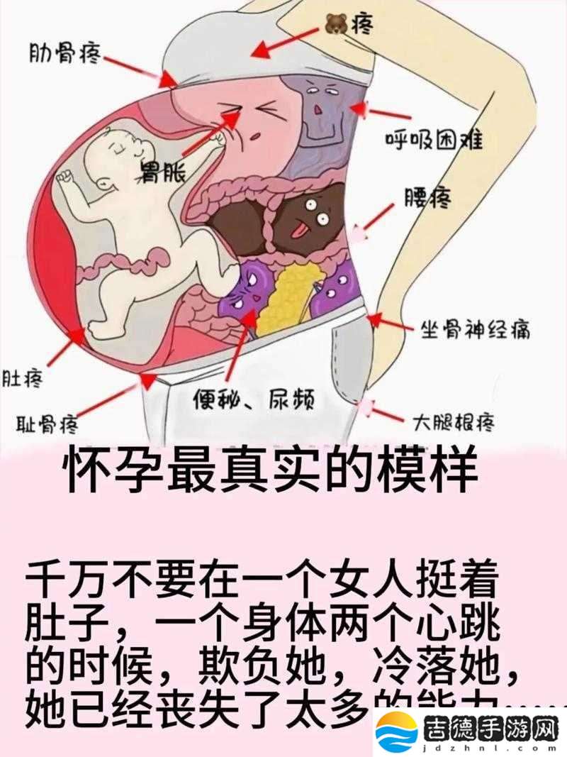 在WWW孕妇的世界里