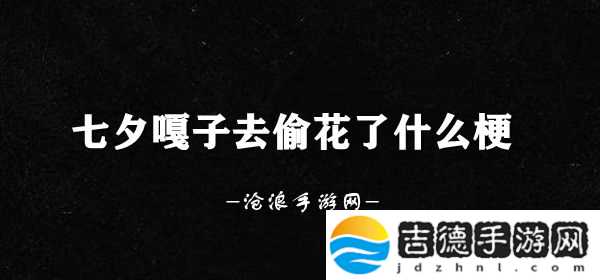七夕嘎子去偷花了什么梗