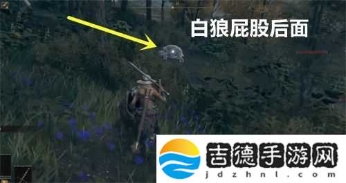 艾尔登法环三只睿智兽物在哪儿