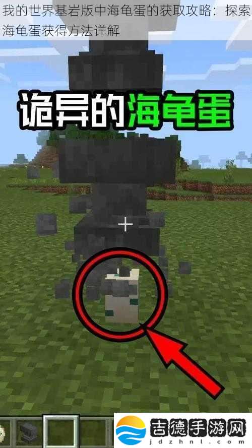 我的世界基岩版中海龟蛋的获取攻略