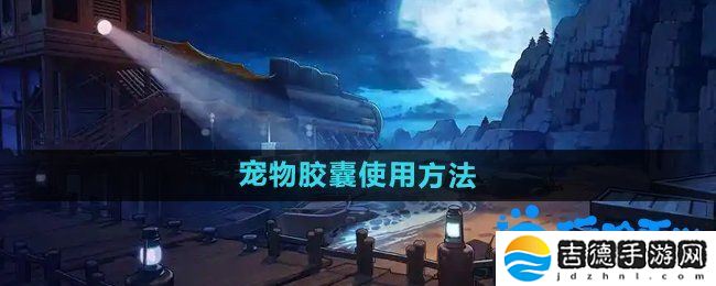 dnf宠物封印胶囊怎么使用-宠物胶囊使用方法