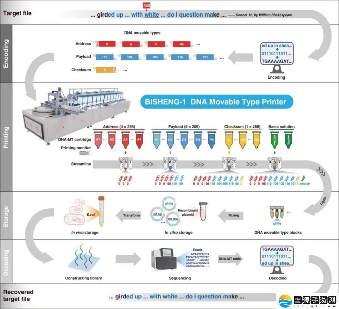 100% 精准解码，国家生物信息中心合作研发 DNA 数据活字存储打印系统“毕昇一号”