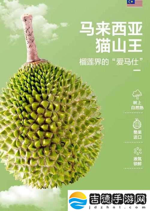 榴莲香蕉苹果哈密瓜水蜜桃，夏日甜蜜的水果盛宴