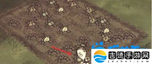 饥荒蜘蛛人怎么种地-种地方法介绍