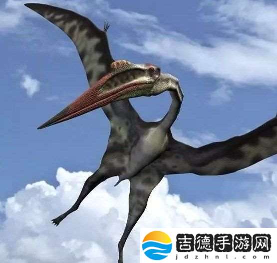 人类已知的最大飞行动物是-10月24日森林驿站每日一题答案