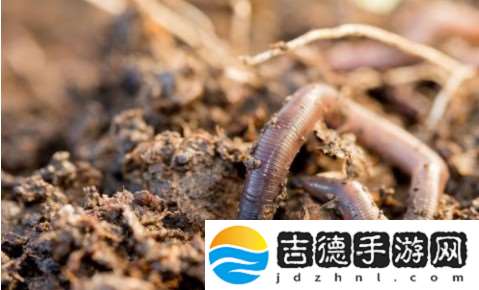 蚯蚓腹面的刚毛有什么作用-10月27日森林驿站每日一题答案