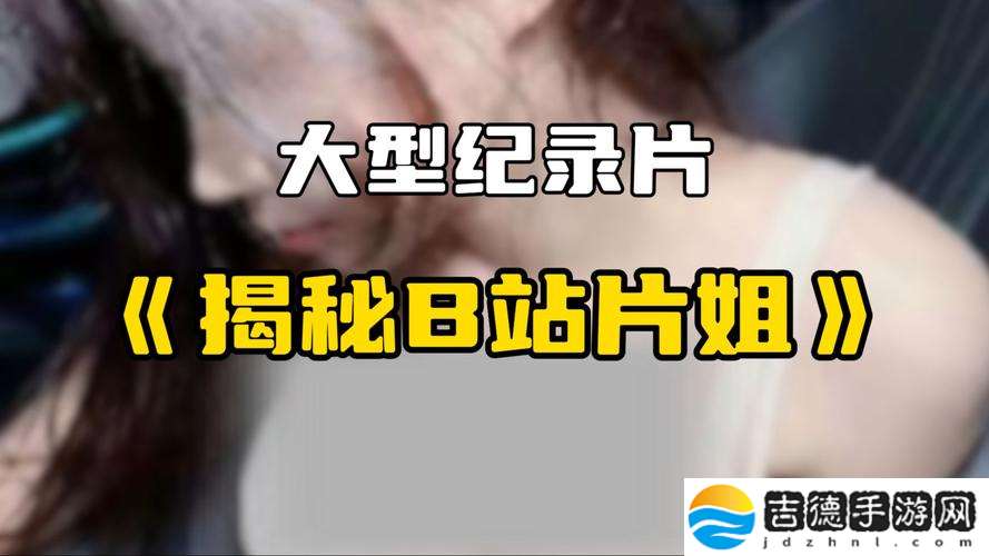 解析“B站暴躁姐的丈夫是干什么的”背后的故事