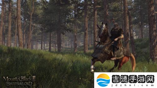 骑马与砍杀2手游app经典刺激的中世纪战争