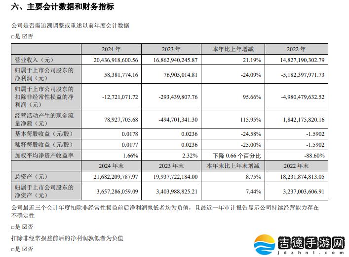 欧菲光 2024 年营收 204.37 亿元同比增长 21.19%，净利润同比下降 24.09%