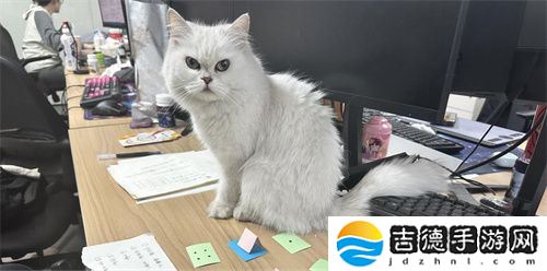 专访喵吉托工作室:在 “传统养宠束缚” 与 “AI 社交新潮” 的碰撞中,以创新解锁宠物社交游戏新魅力