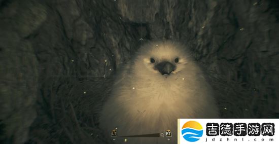 《怪物猎人：荒野》大更！泡狐龙登场，巨型柔毛秧鸡等你掏？